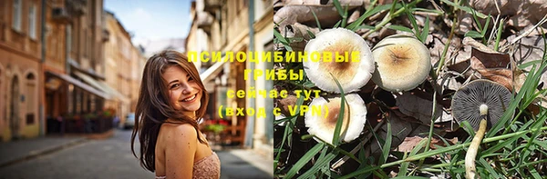 альфа пвп Горняк